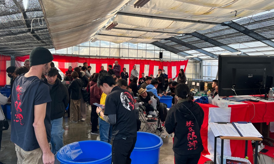 Dag 4 Japan