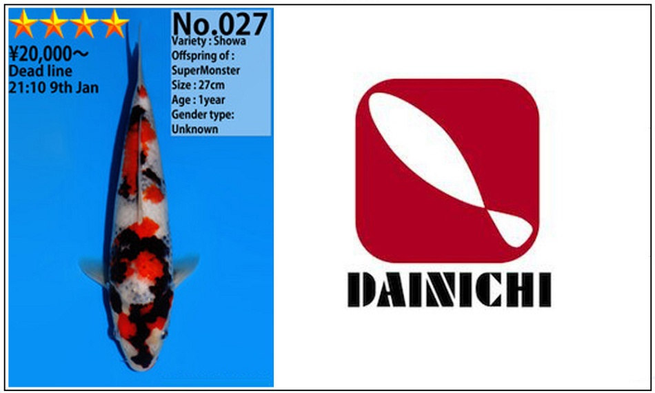 Dainichi veiling januari