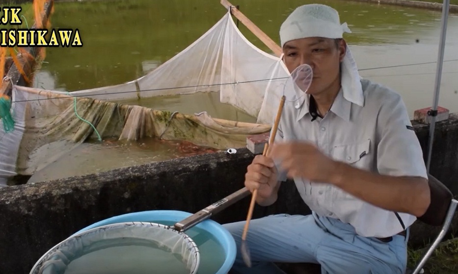De 2de en 3de selectie bij Nishikawa