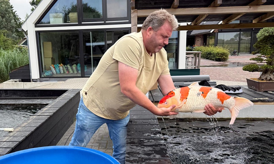 De bezige bij