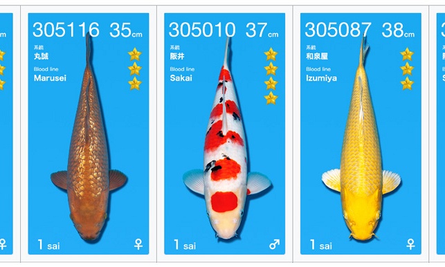 De dag van de communicatie
