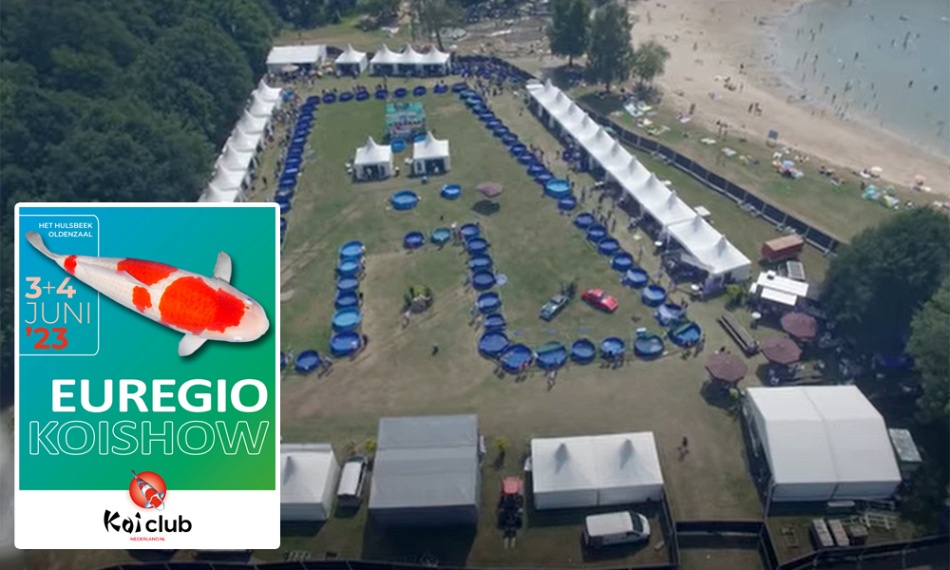 De euregio koishow