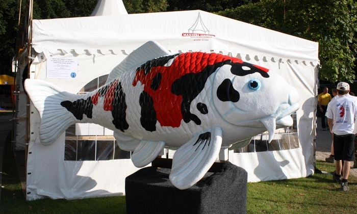 De foto's van Arcen 2009