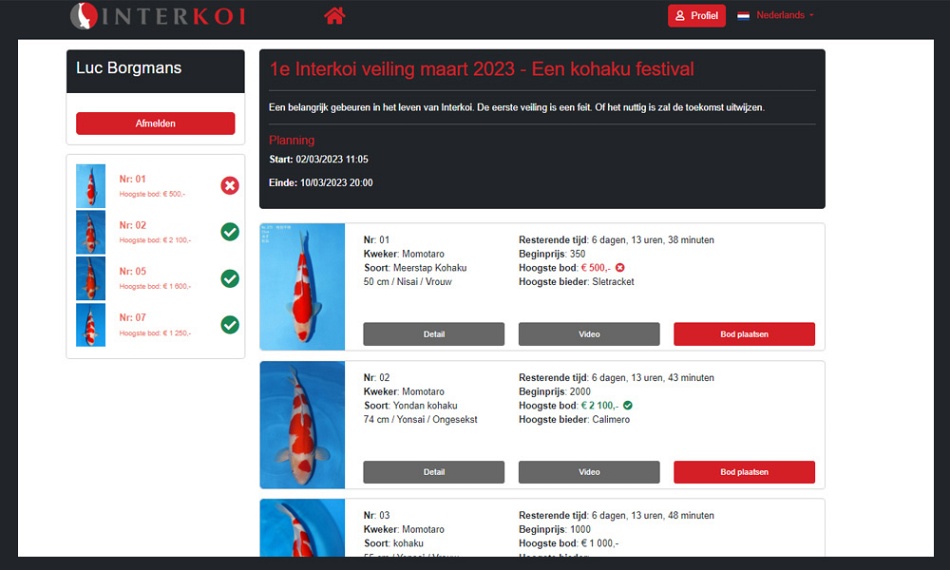 De geboorte van de Interkoi veiling website