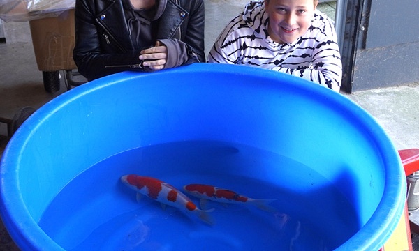 De grote leegloop