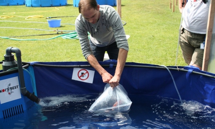 de holland koishow