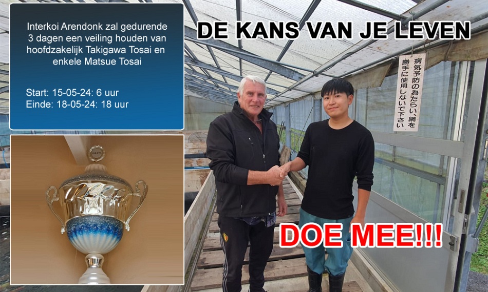 De kans van je leven