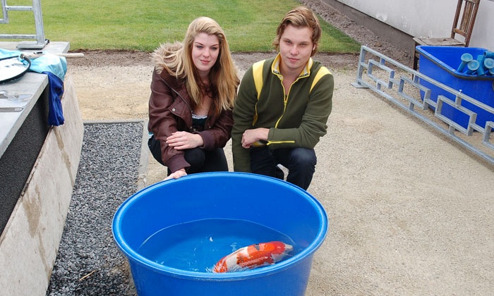 De Kikker