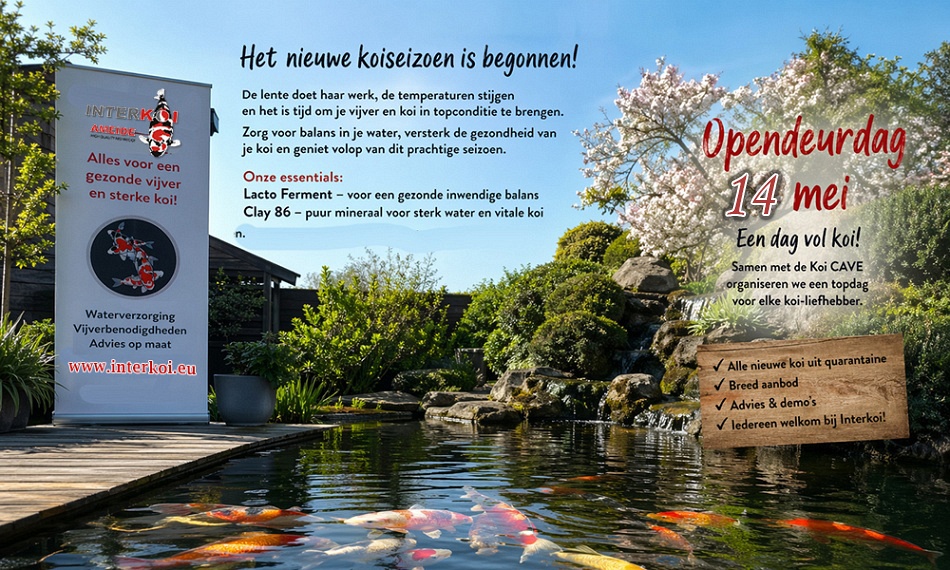 De KOICAVE Interkoi cup