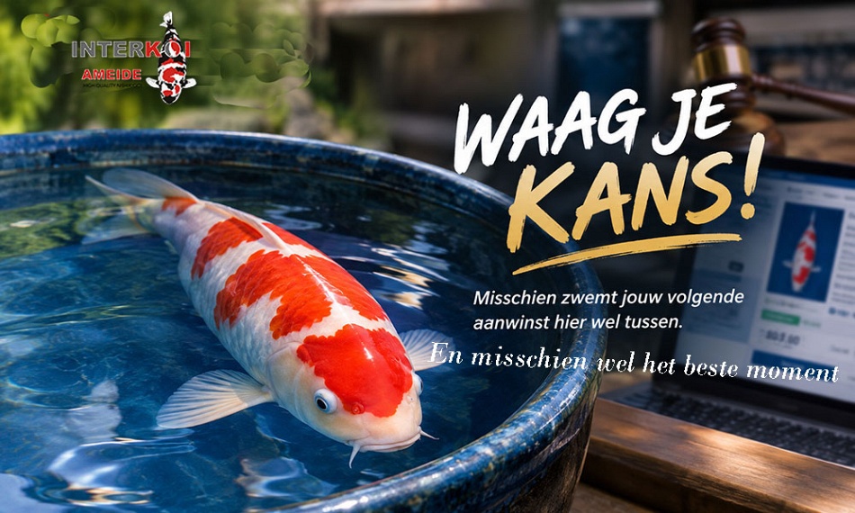 De laatste kans, en misschien wel het beste moment