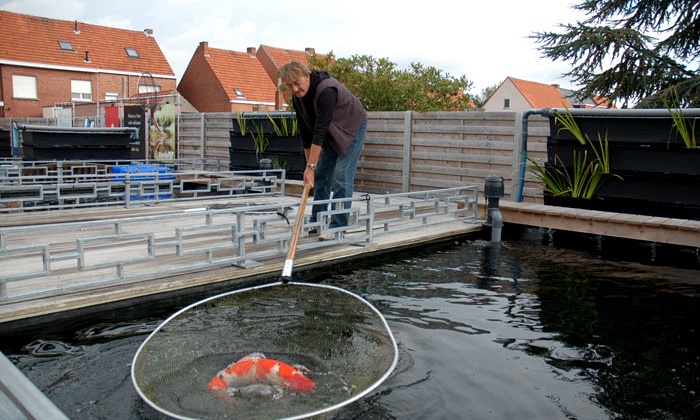 De mooiste die ik ooit gekocht heb