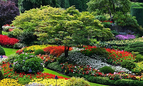 De nationale Koi en Vijverdagen