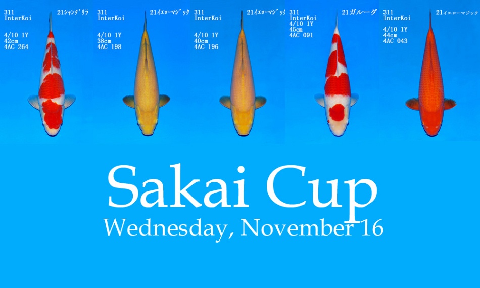 De Sakai Cup