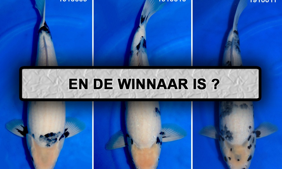 De uitleg van Ben over de shiro