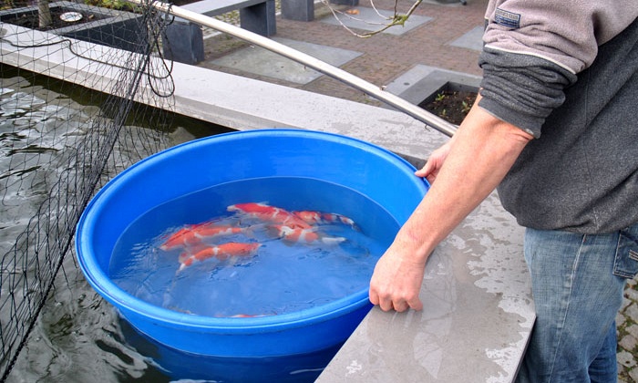 De uitvaart is begonnen