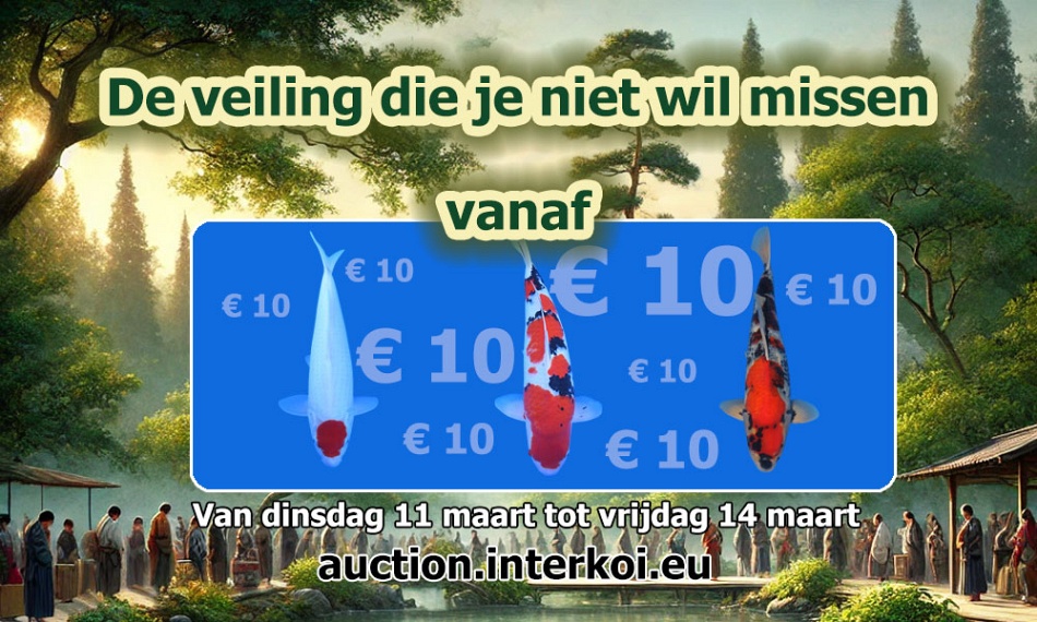De veiling die je niet wil missen!