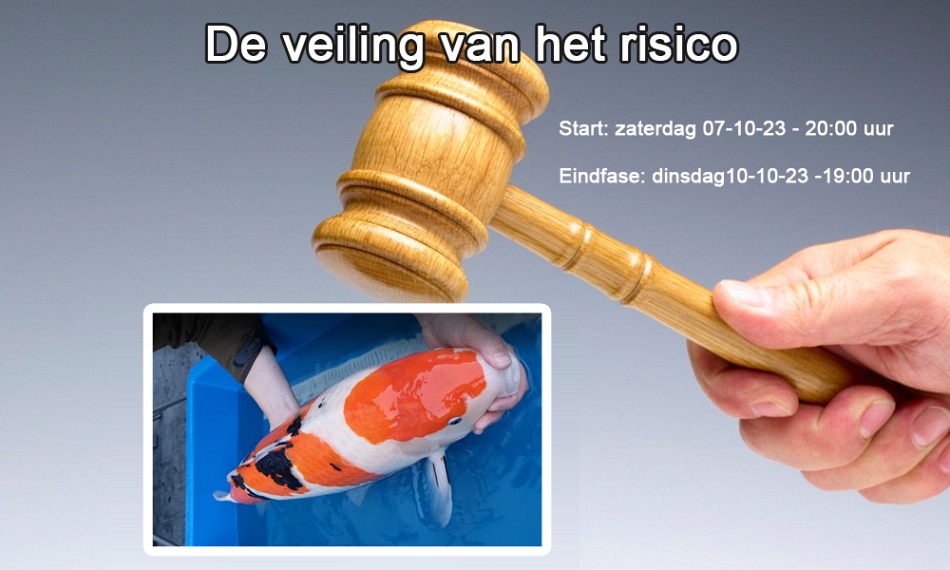 De veiling van het risico