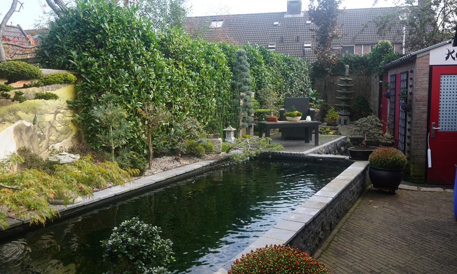 De vijver van Bendora