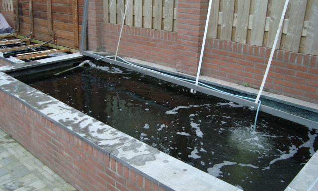 De vijver van Johnny