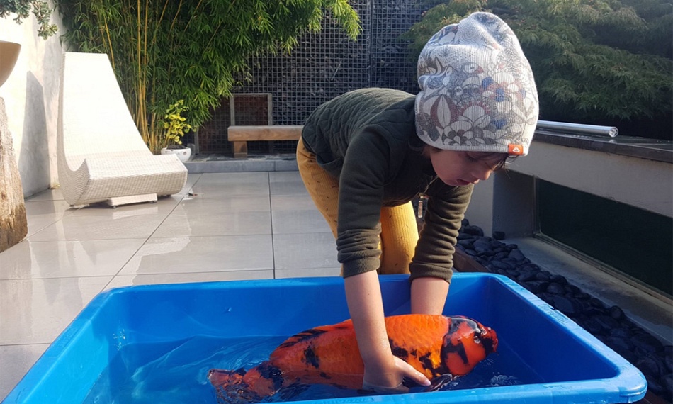 De vijver van Niels