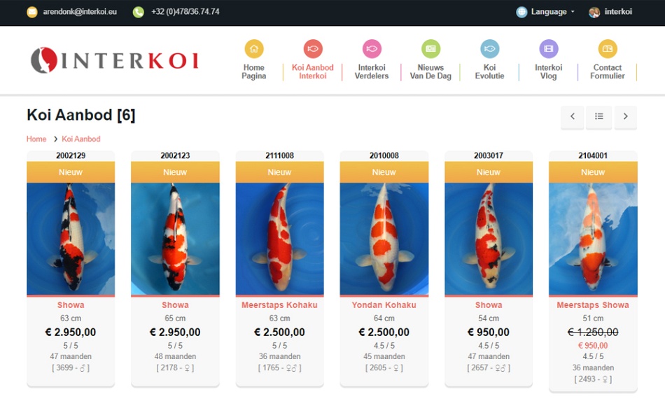 De volgende 2 koi