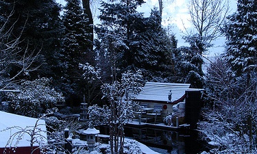De winter. Wat nu? (deel 3)