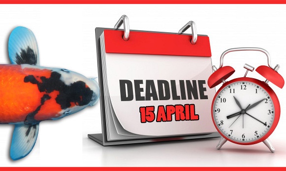 Deadline ophalen koi: 15 april