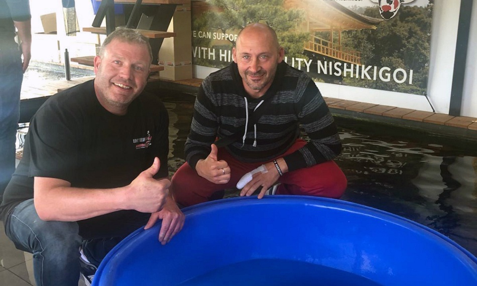 Diverse koi vonden dit weekend een nieuwe eigenaar