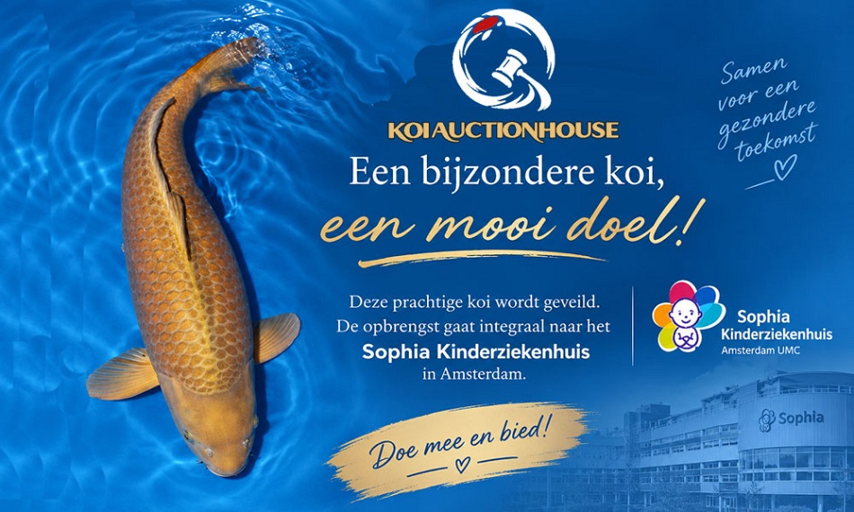 Een Chagoi met een verhaal
