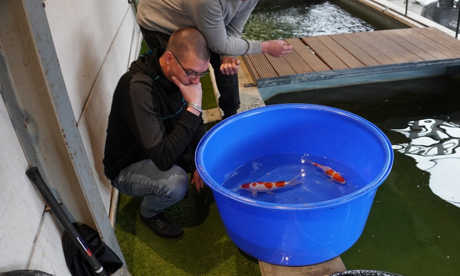 Een duimpje voor updates