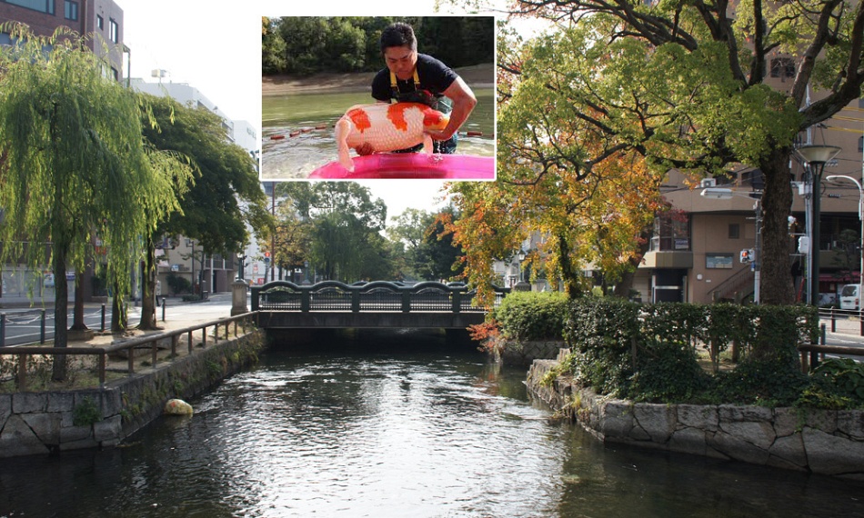 Een heel gamma Dainichi showa