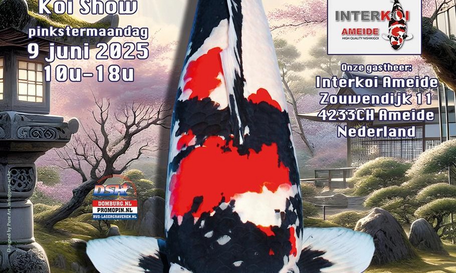 De YHKS of Young Holland Koi Show