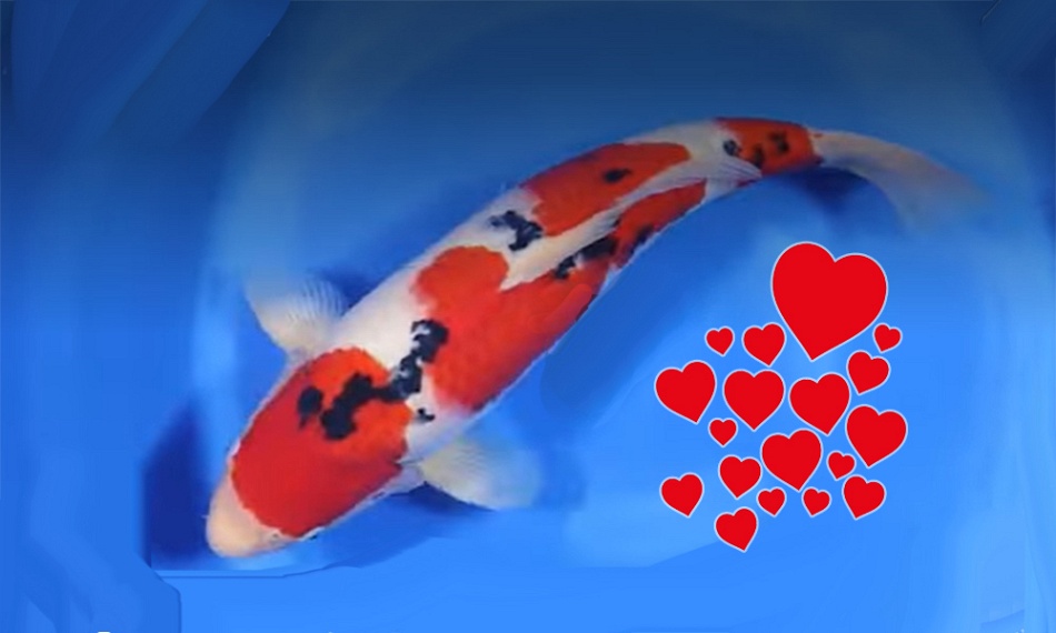 Een opmerkelijke veiling