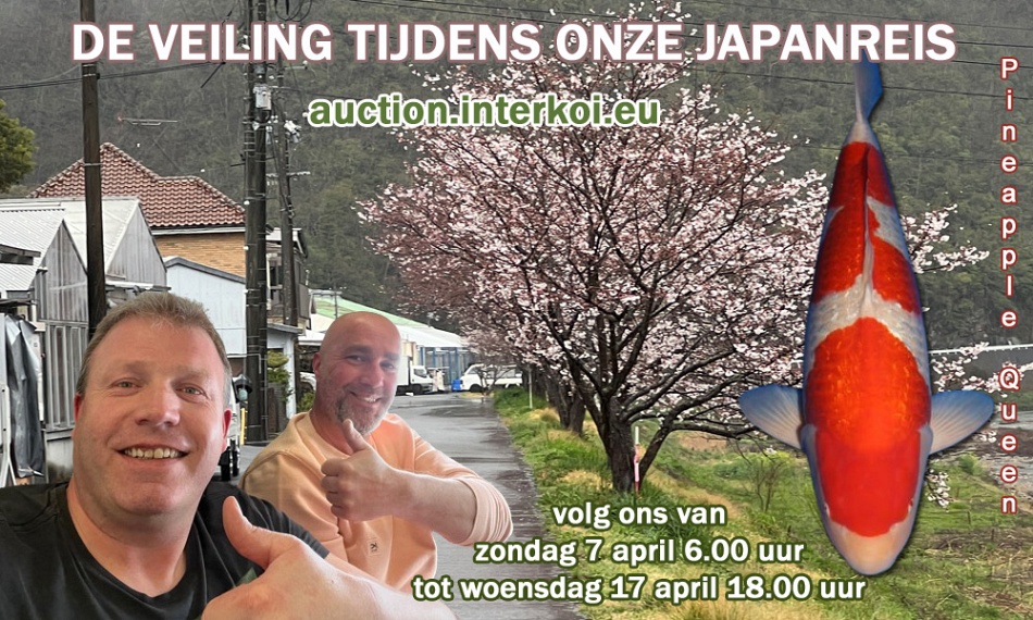 Een veiling tijdens onze Japanreis
