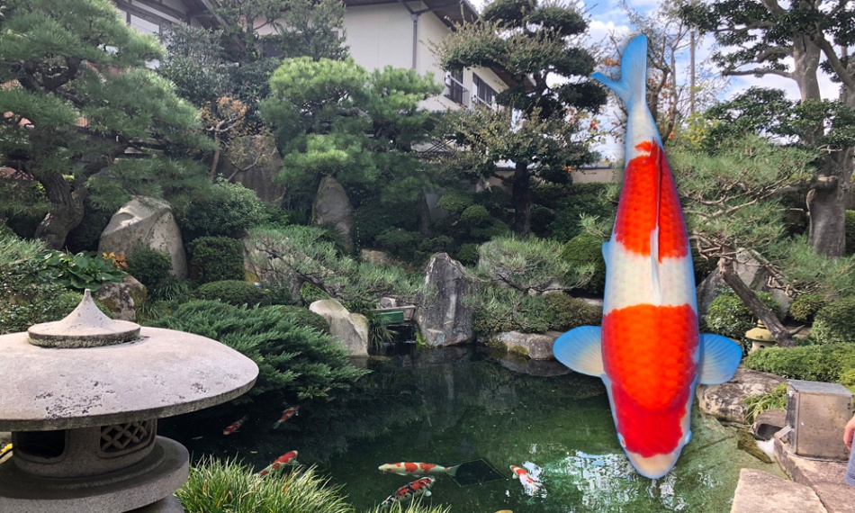 Een weloverwogen keuze