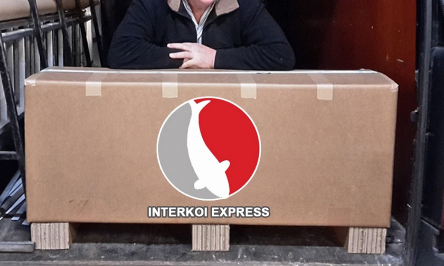 Een zware zending