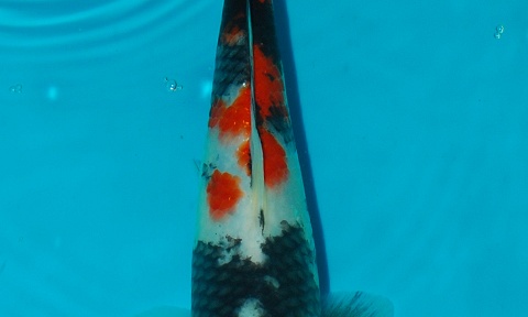 Eindelijk....