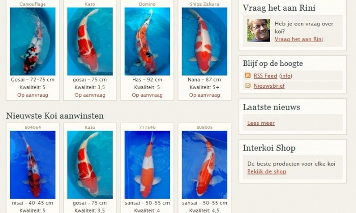 Enkele kleine veranderingen website