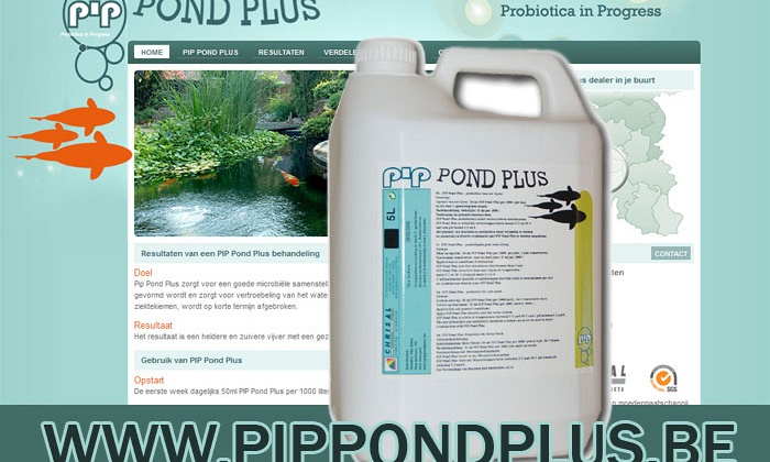 Even uw aandacht voor PIP
