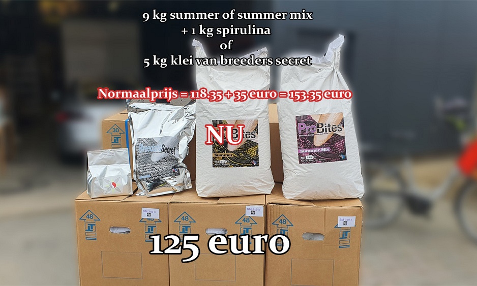 Even van op mijn dak kort flimpje