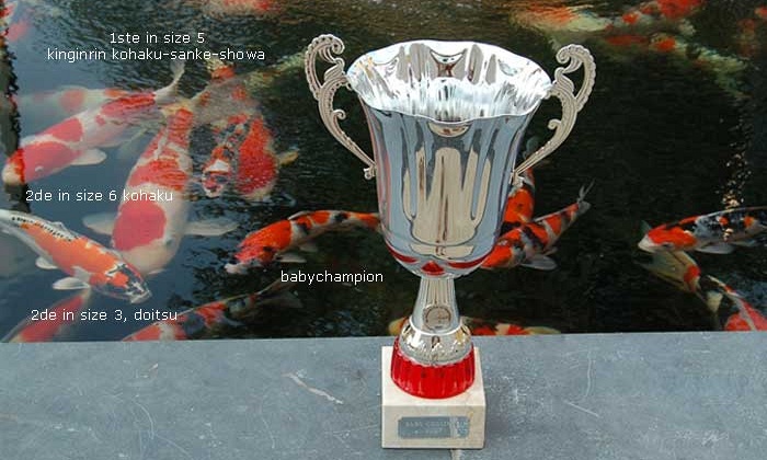 Filmpje baby champion