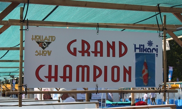 Grand Champion is bekend