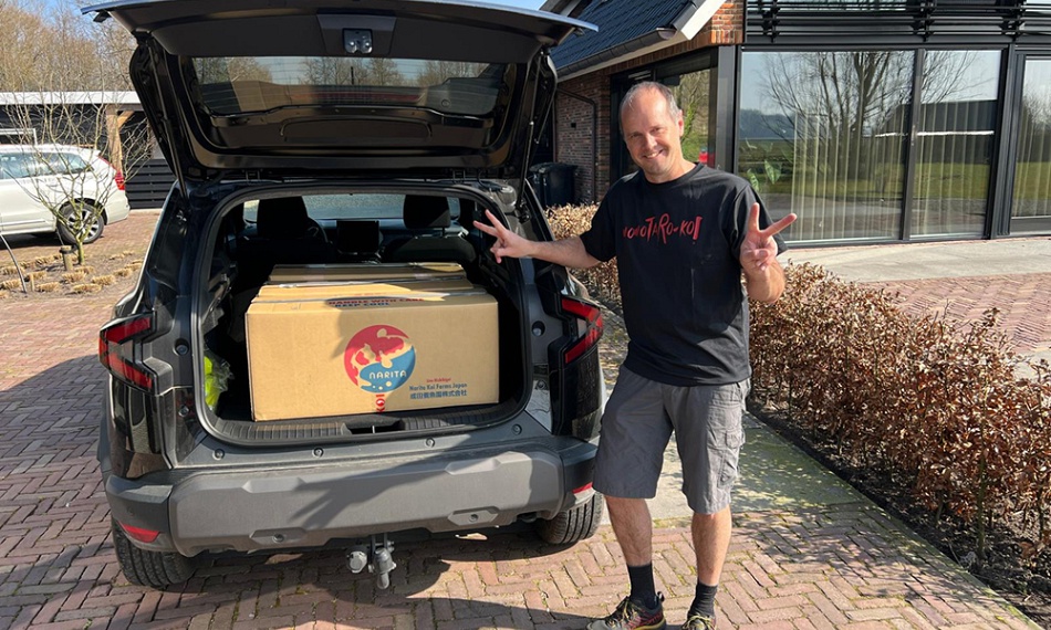 Het afhalen van de eerste koi