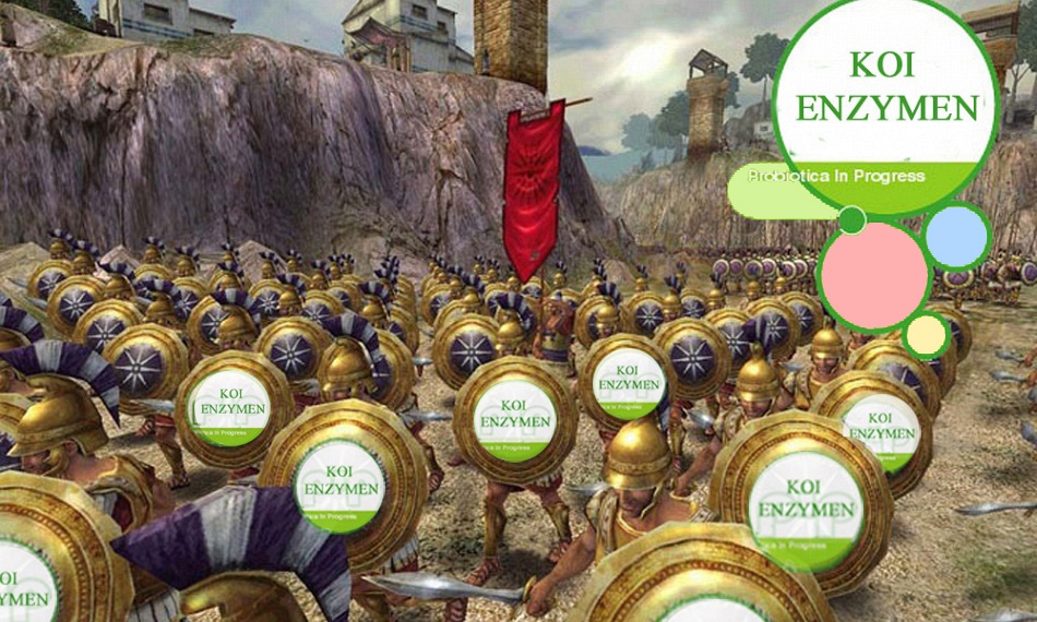 Het belang van Koi Enzymen