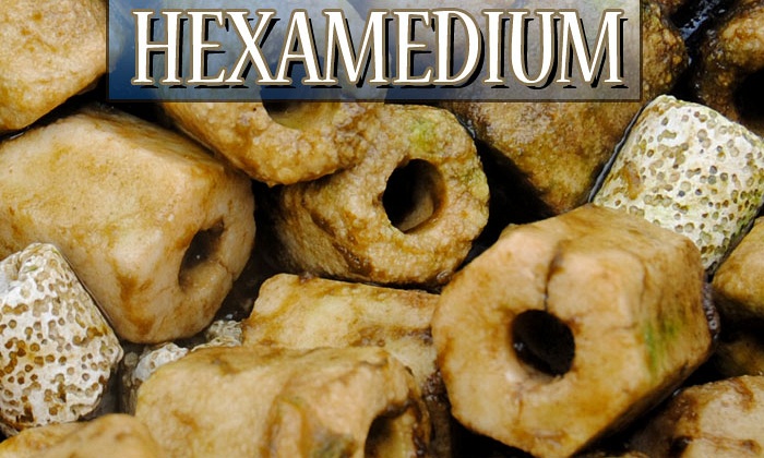 Het Hexamedium, een toevallige ontdekking