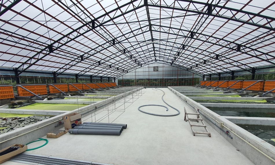 Het laatste nieuwe koihuis.