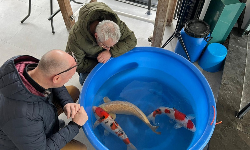 Het weekend van voorbeeldige sanke