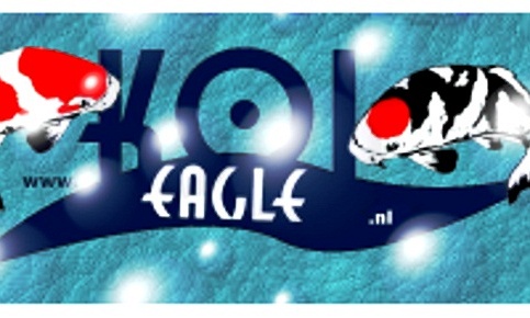 Holland Koi Show