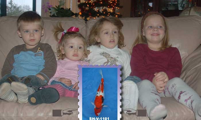 Ik zoek 2 onafhankelijke vrijwilligers