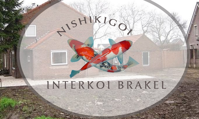 Interkoi Brakel gaat verhuizen !!